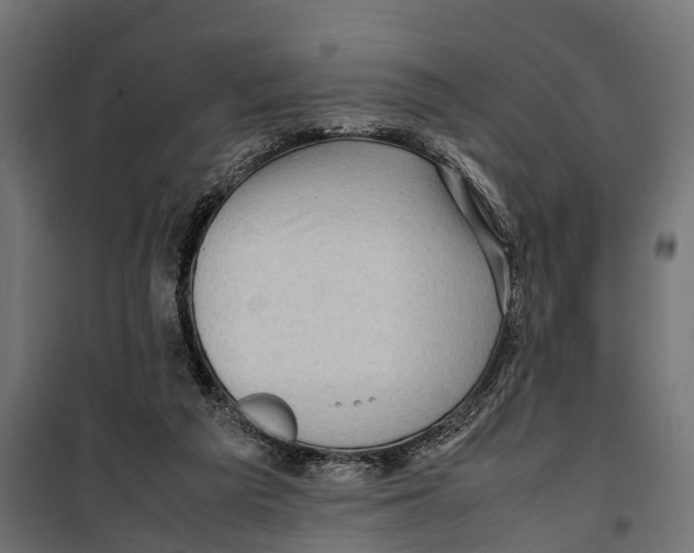 X0000099980209200806201433