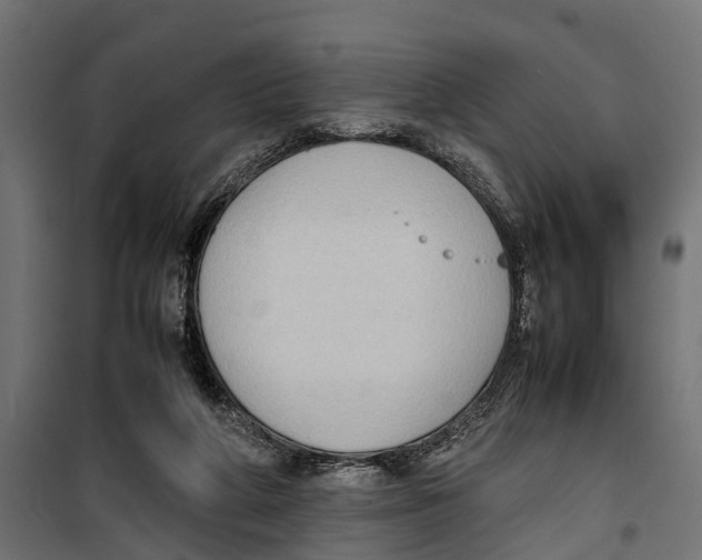 X0000099980210200806201433