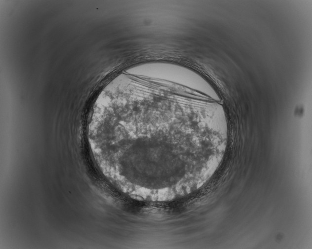 X0000099980211200806201433