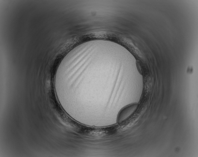 X0000099980213200806201433