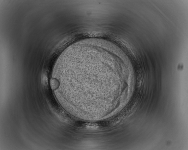 X0000099980214200806201433