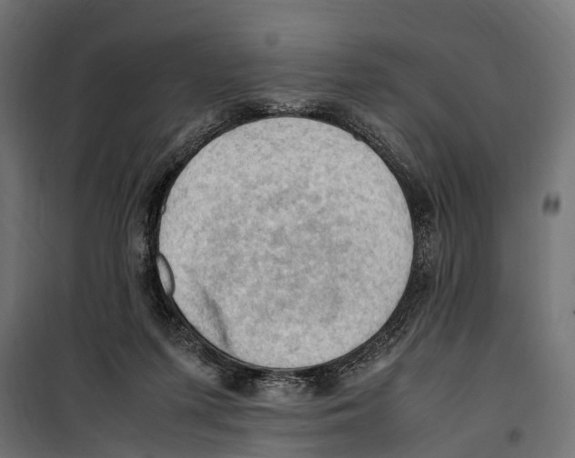 X0000099980215200806201433