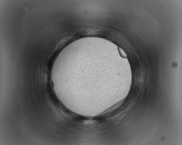 X0000099980216200806201433