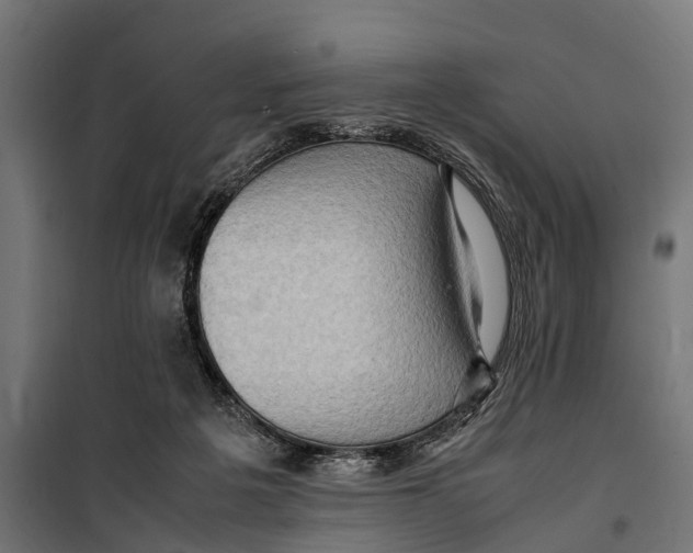 X0000099980217200806201433