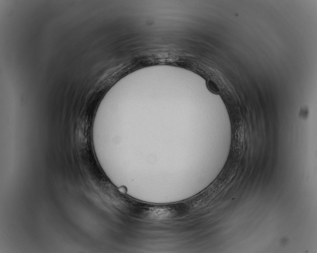 X0000099980218200806201433