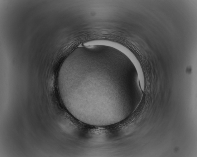 X0000099980219200806201433