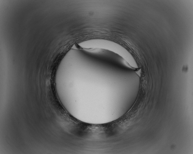 X0000099980221200806201433