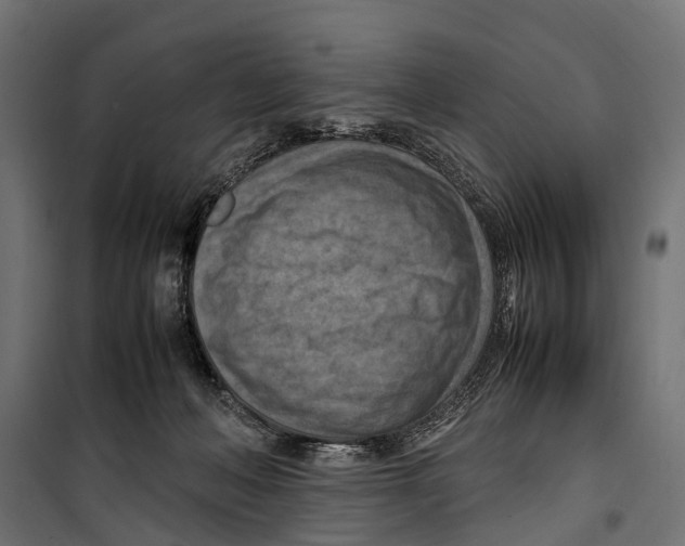 X0000099980222200806201433