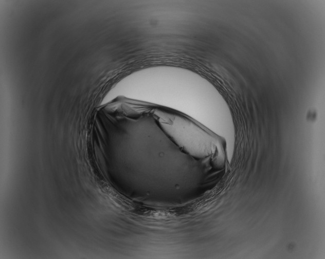 X0000099980223200806201433