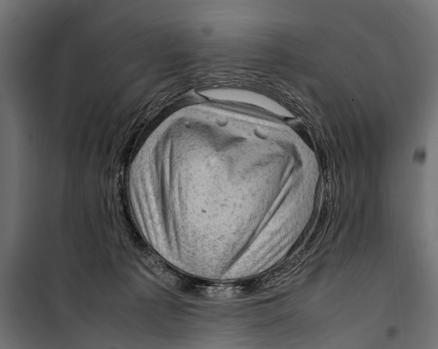 X0000099980225200806201433