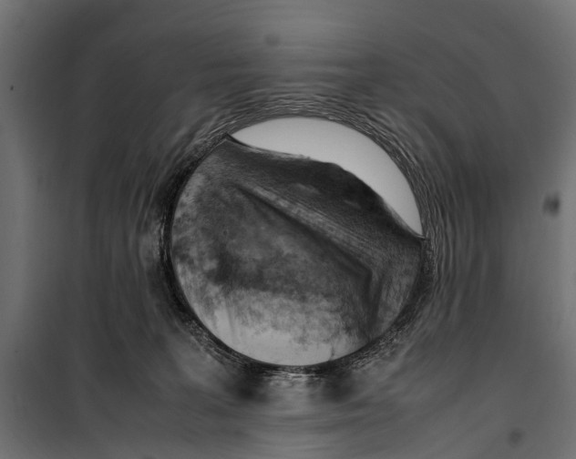 X0000099980227200806201433