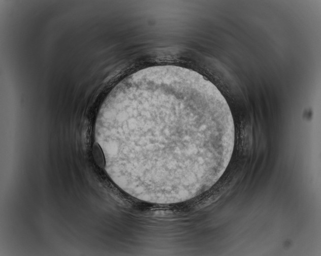 X0000099980228200806201433