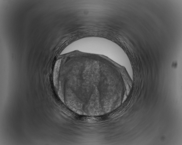 X0000099980229200806201433