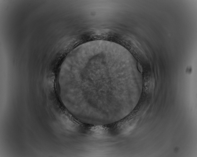 X0000099980231200806201433