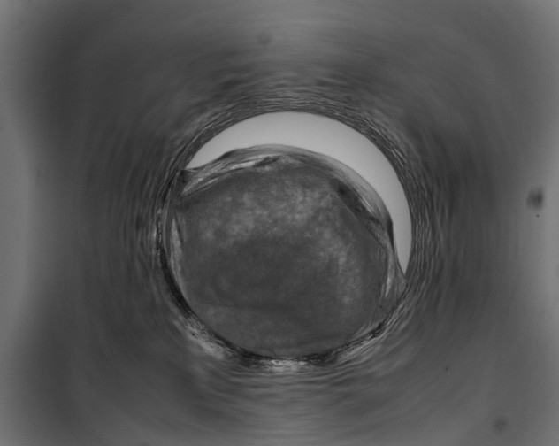 X0000099980233200806201433