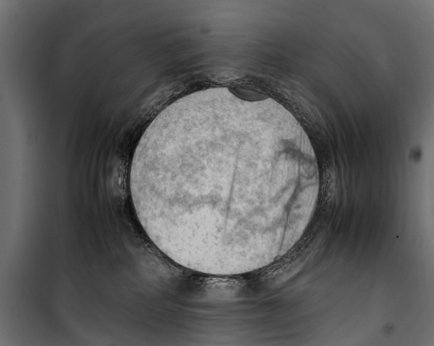 X0000099980234200806201433