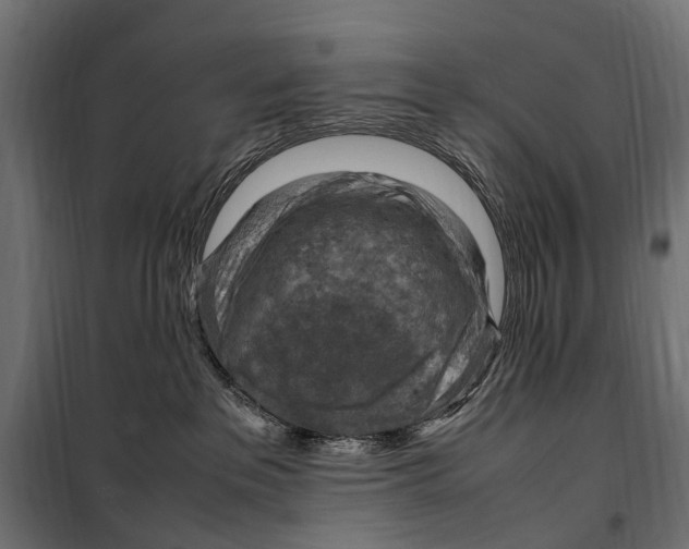 X0000099980237200806201433