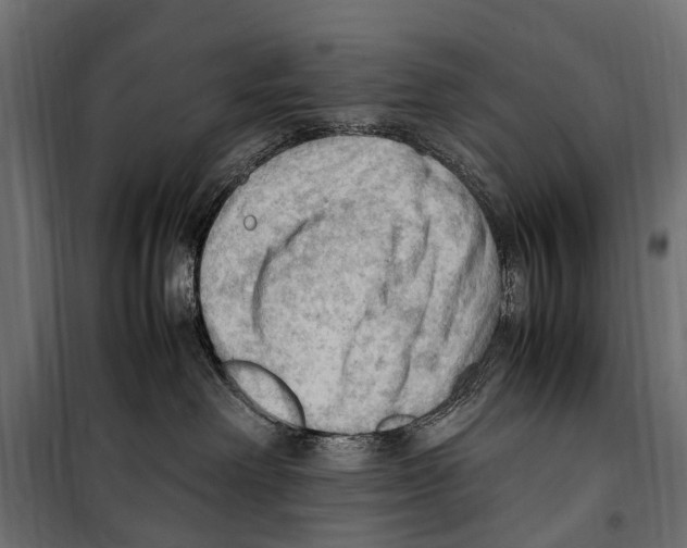 X0000099980238200806201433