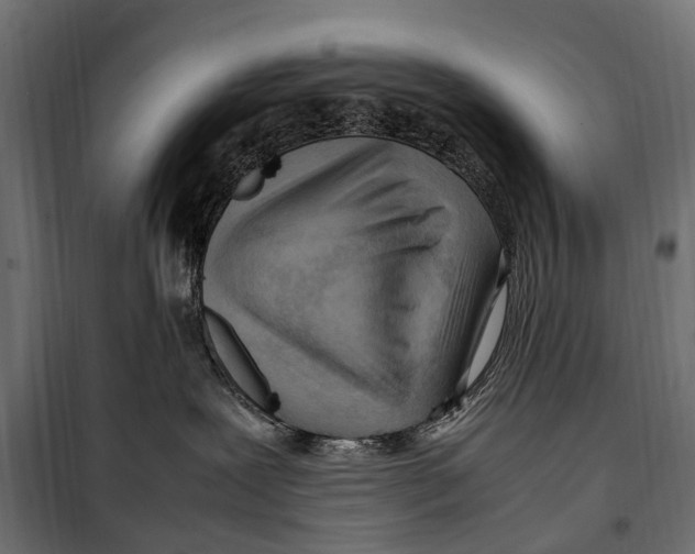 X0000099980239200806201433