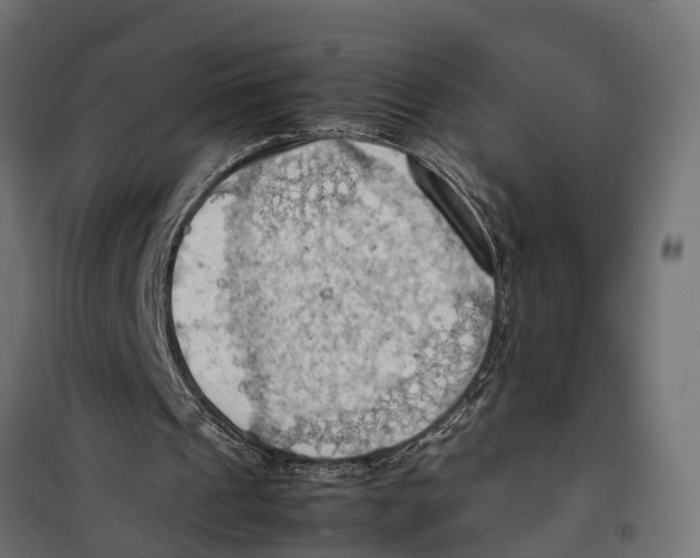 X0000099980241200806201432