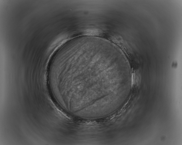 X0000099980243200806201432