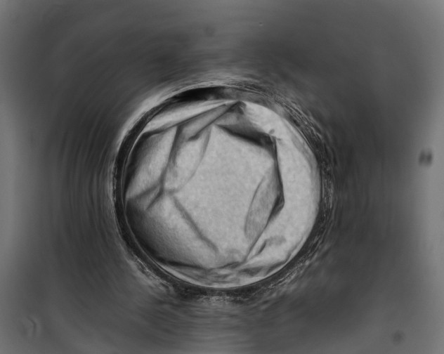 X0000099980244200806201432