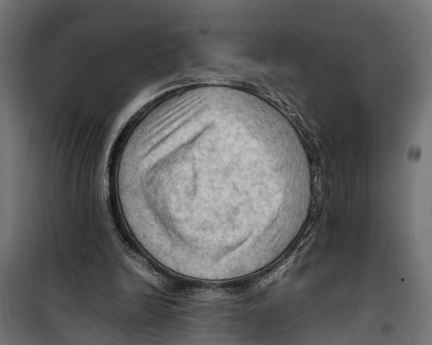 X0000099980246200806201432