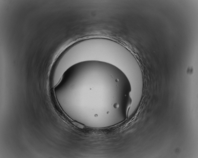 X0000099980248200806201432