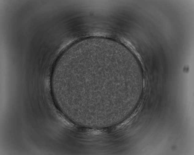 X0000099980249200806201432