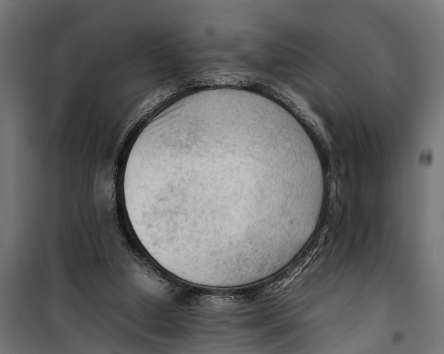 X0000099980250200806201432