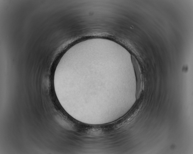 X0000099980252200806201432