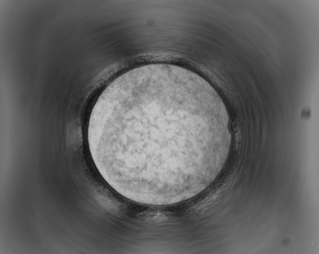 X0000099980254200806201432