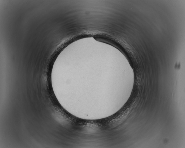 X0000099980256200806201432