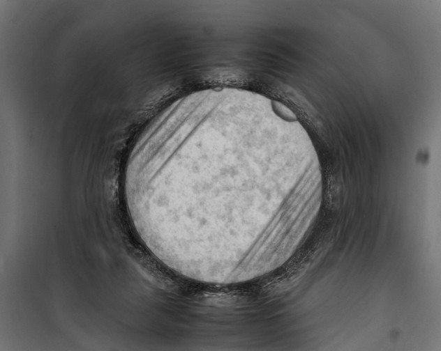 X0000099980259200806201432