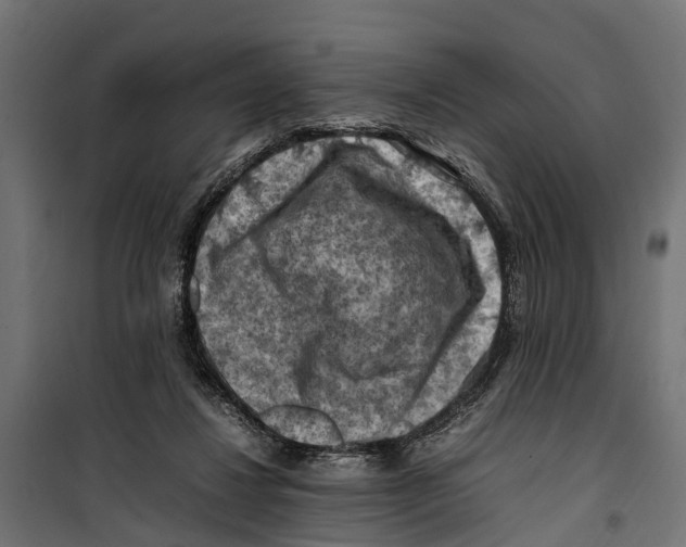 X0000099980260200806201432