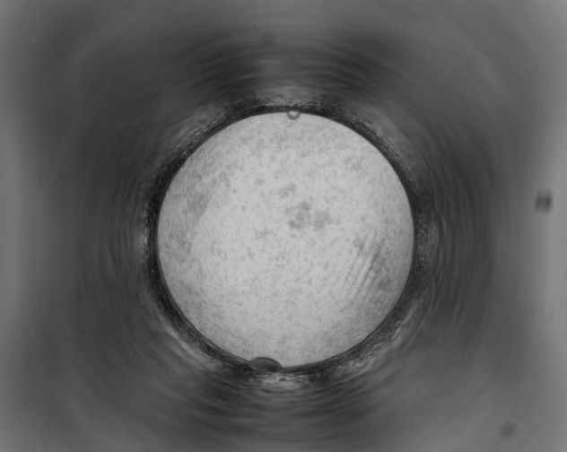 X0000099980261200806201432