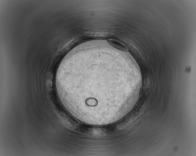 X0000099980264200806201433