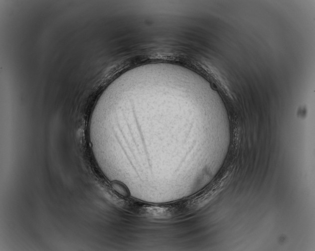 X0000099980265200806201433