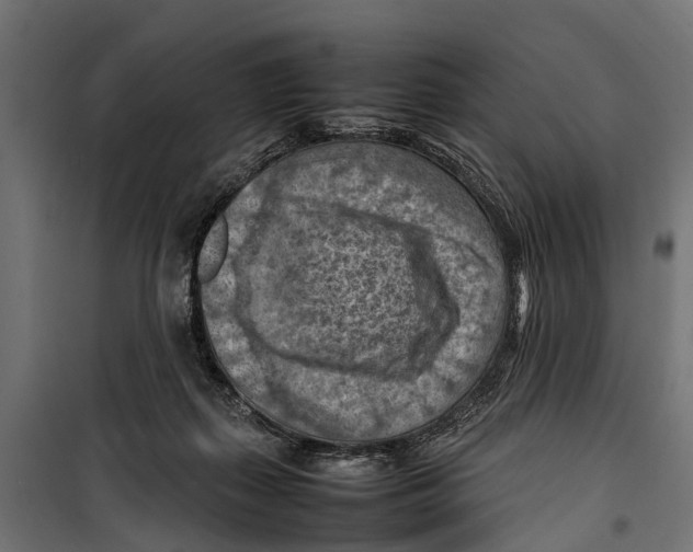 X0000099980267200806201433