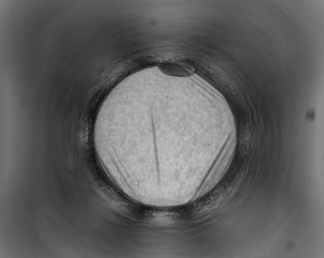 X0000099980268200806201433