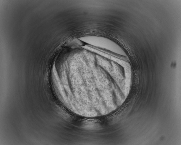 X0000099980269200806201433