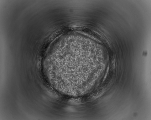 X0000099980271200806201433