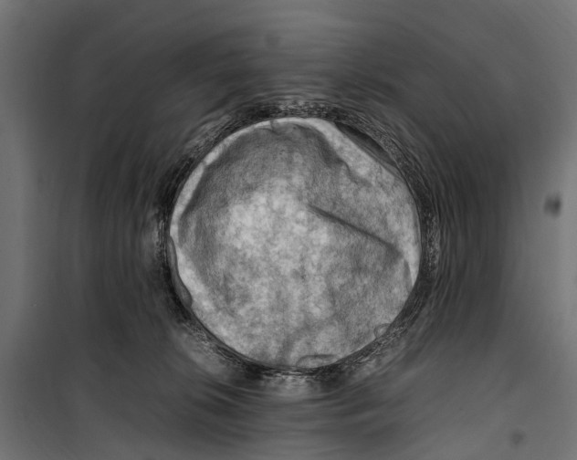 X0000099980276200806201433