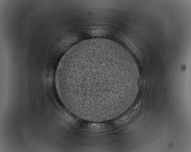 X0000099980277200806201433