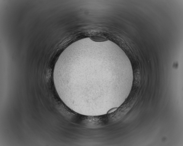 X0000099980278200806201433