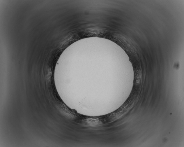 X0000099980279200806201433