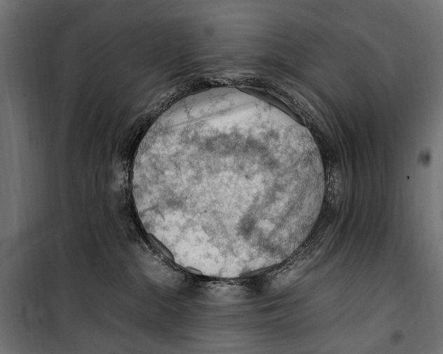 X0000099980284200806201433