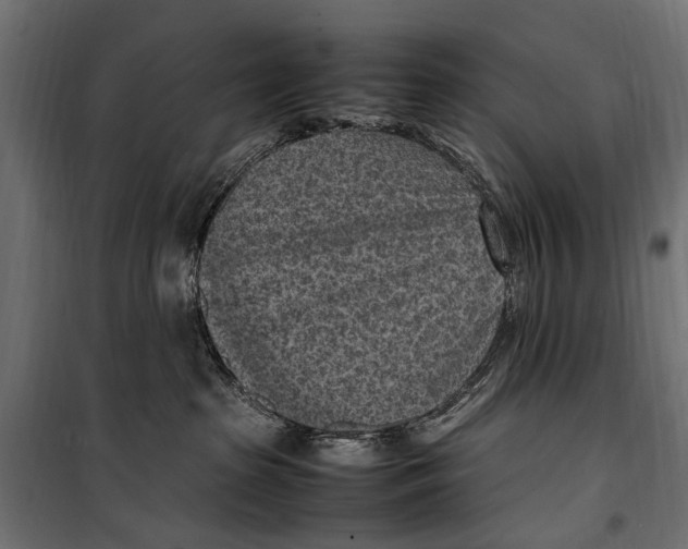 X0000099980285200806201433