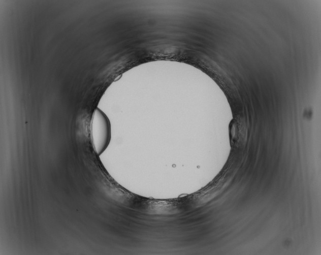 X0000099980287200806201433