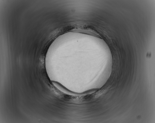 X0000099980288200806201433